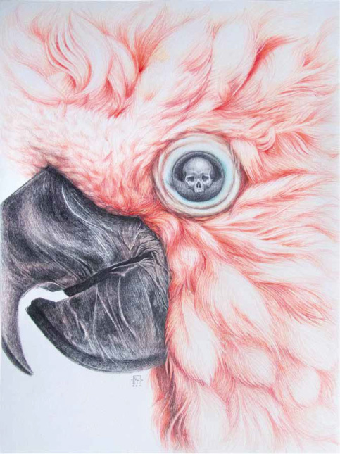 Mélanie Heller, illustration, avc, festival avc, chelles, septembre 2015