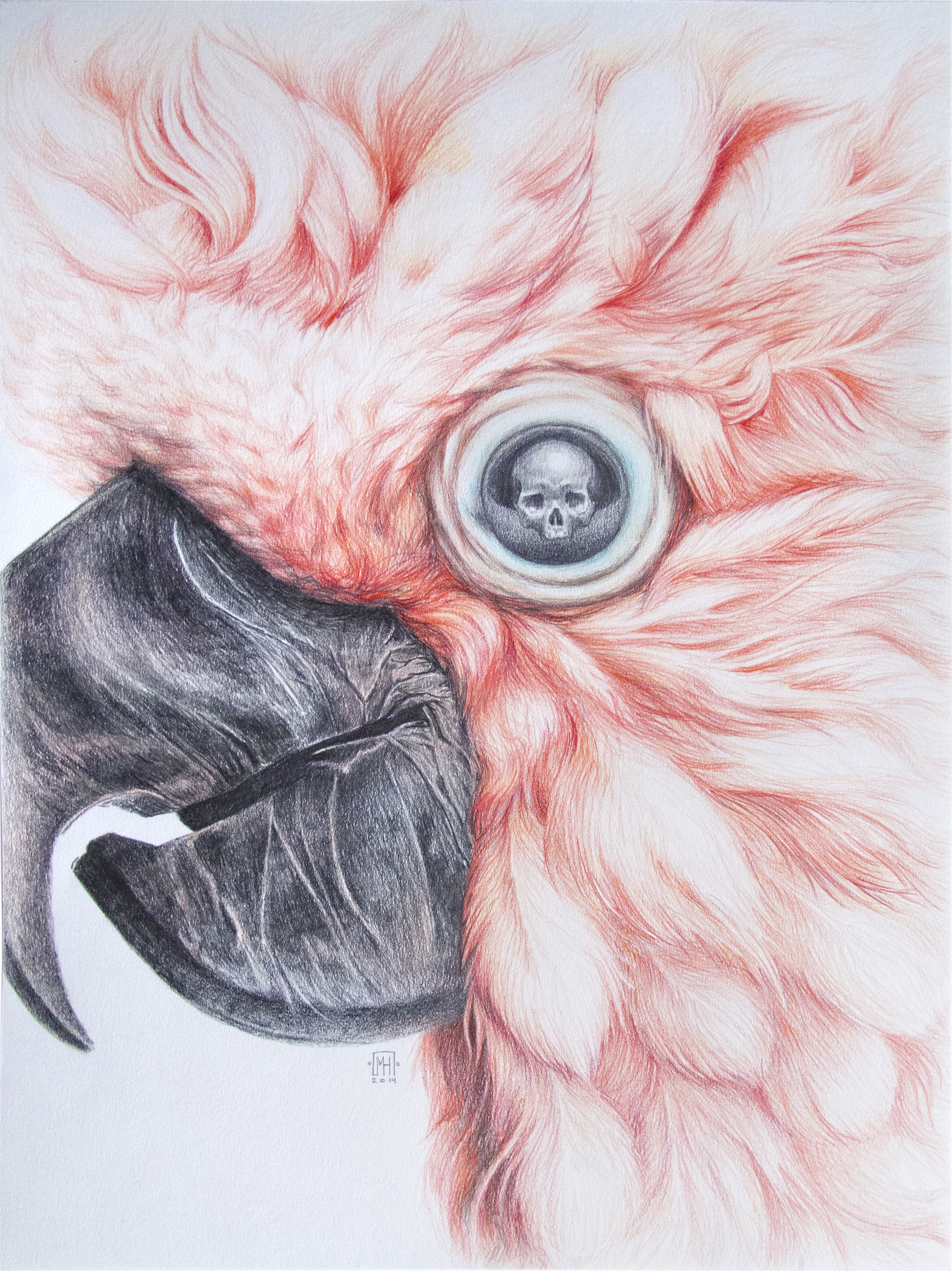Coco Pink Kranion -  42,5x52,5 cm  - 750€ - Crayons de couleur et graphite sur papier 160g